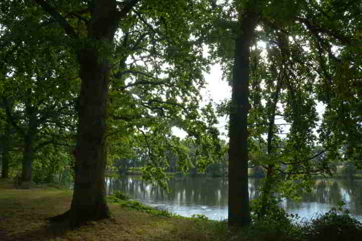 Lopausee bei Amelinghausen in der Lüneburger Heide